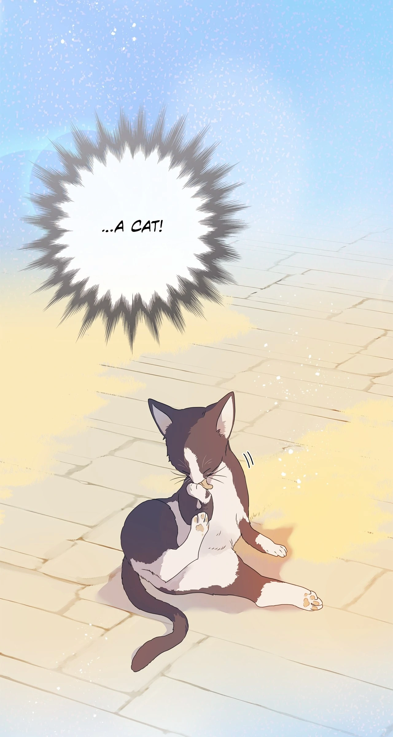 88973891 1280 2400 217972